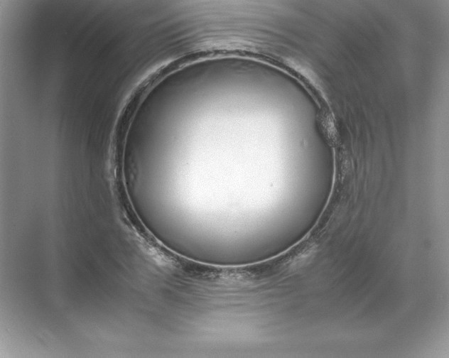 X0000071950979200607212222