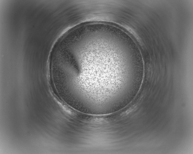 X0000071950982200607212222