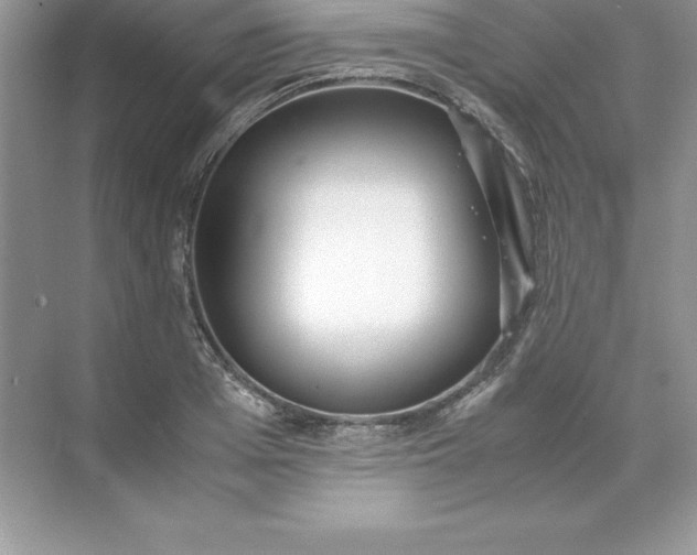 X0000071950985200607212222