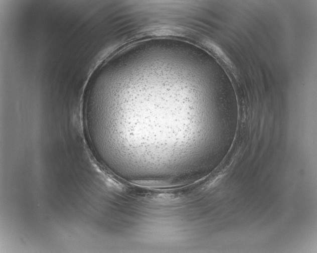 X0000071950986200607212222