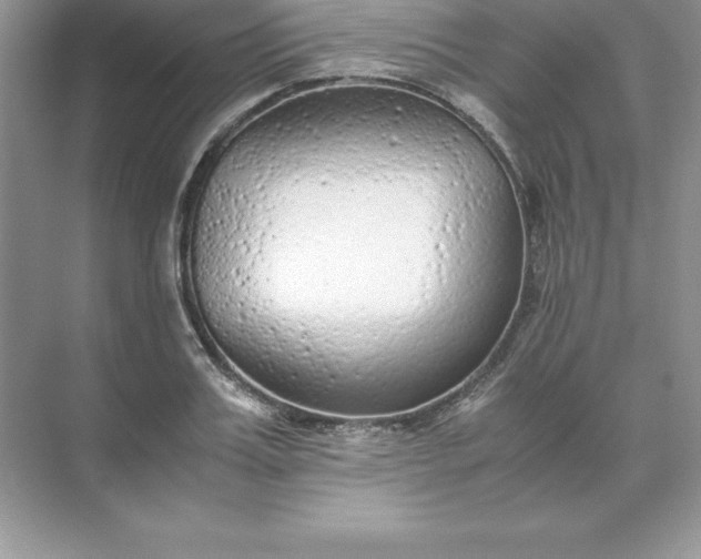 X0000071950987200607212222