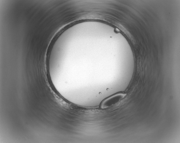 X0000071950988200607212222