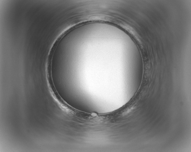 X0000071950991200607212222