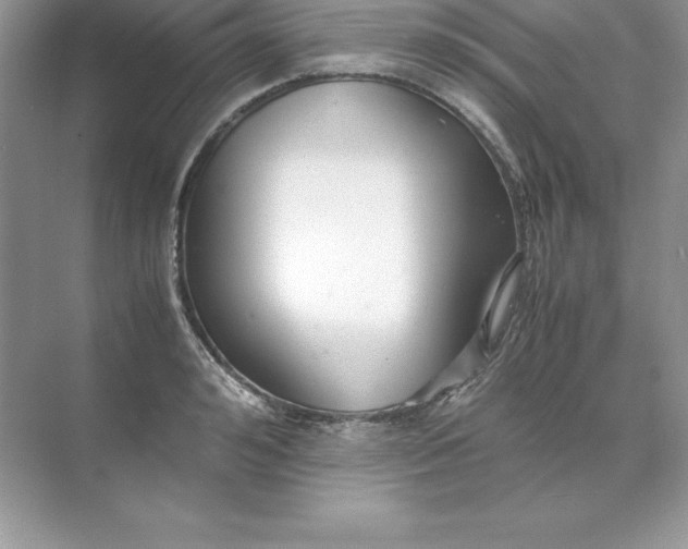 X0000071950992200607212222