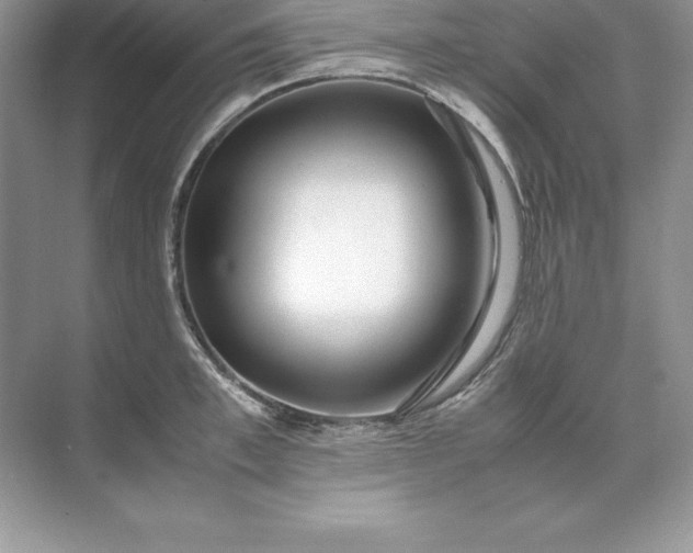 X0000071950997200607212222