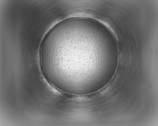 X0000071950998200607212222