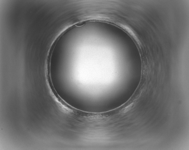 X0000071950999200607212222