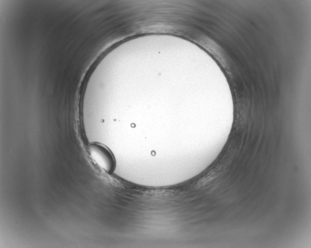 X0000071951000200607212222