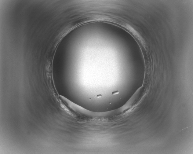 X0000071951001200607212222