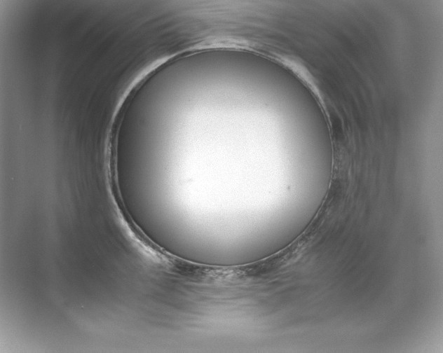 X0000071951003200607212221