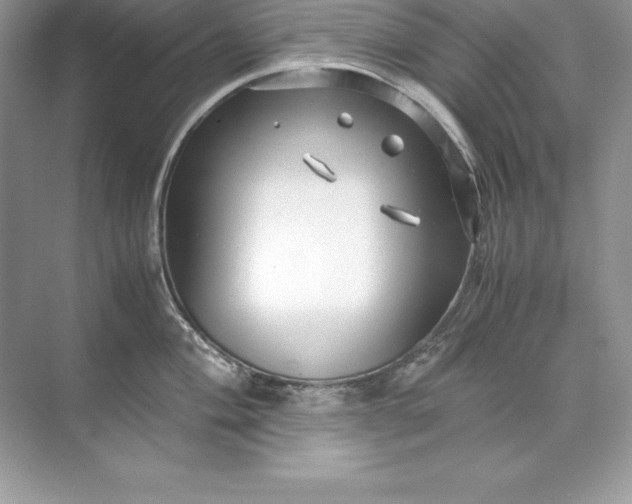 X0000071951004200607212221