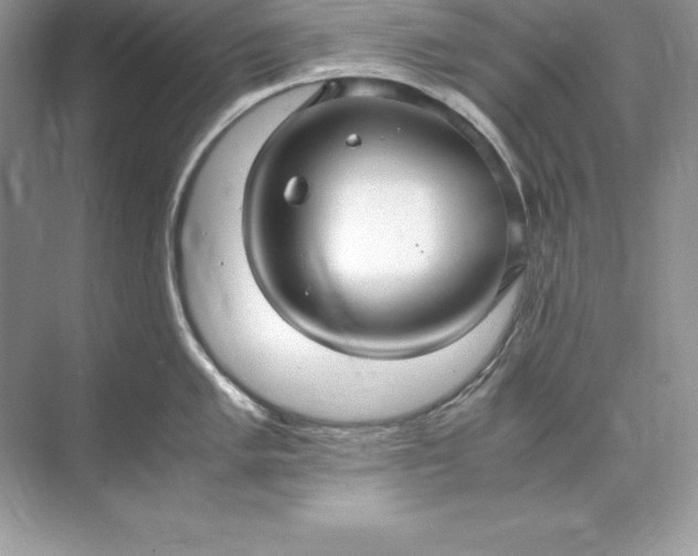 X0000071951005200607212221