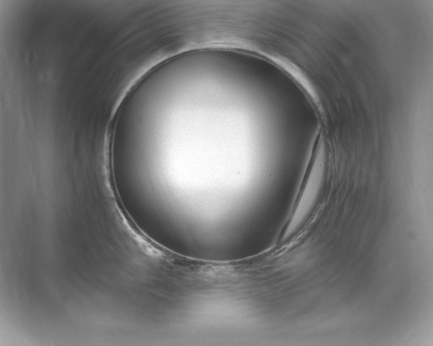 X0000071951006200607212221