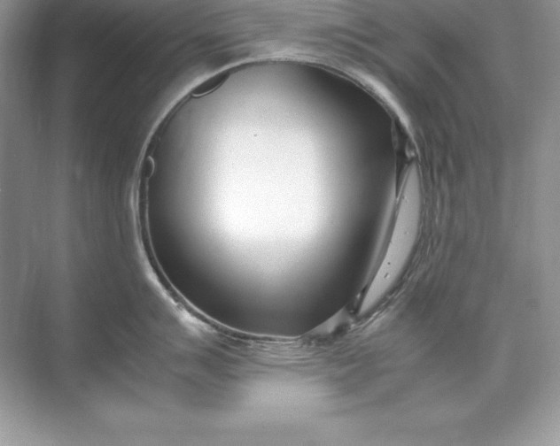 X0000071951007200607212221