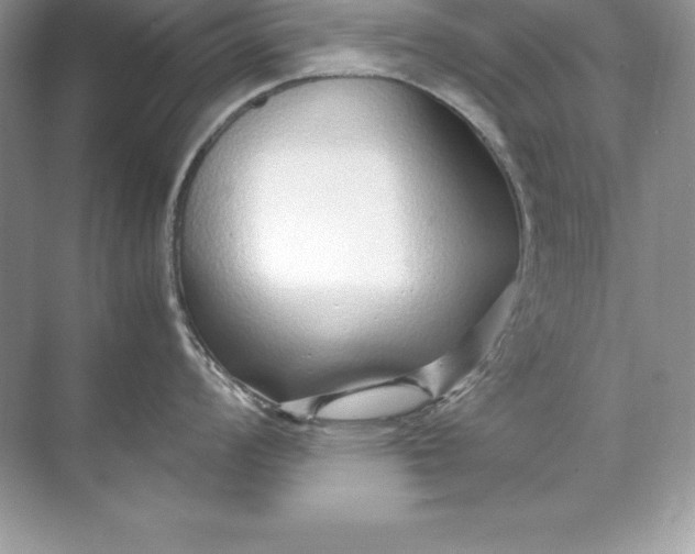 X0000071951008200607212221