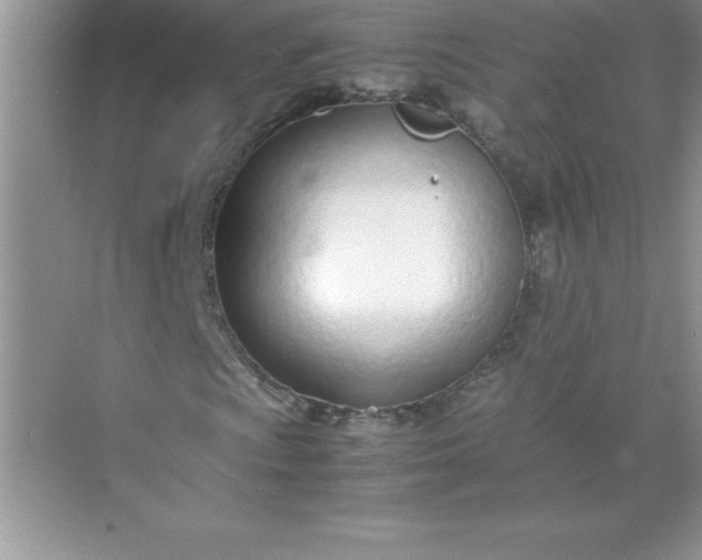 X0000071951009200607212221