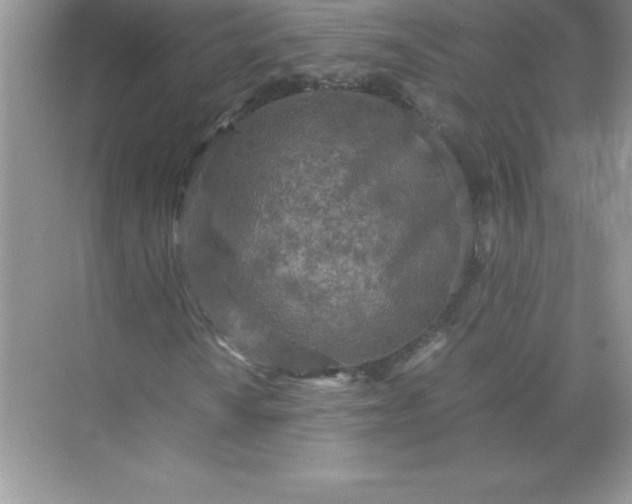 X0000071951010200607212221