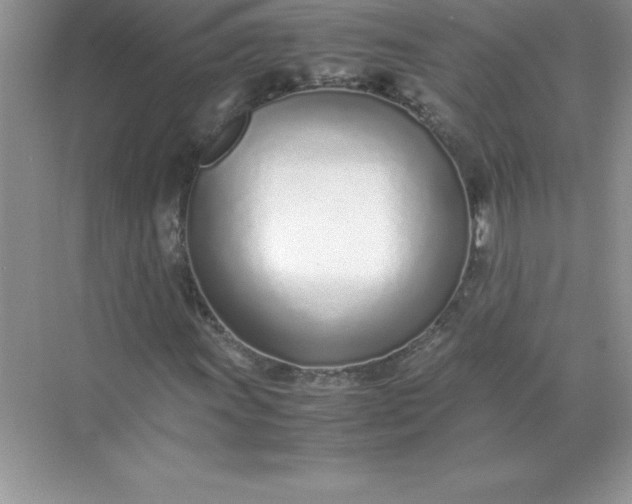 X0000071951011200607212221