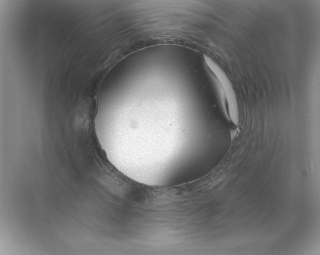 X0000071951012200607212221