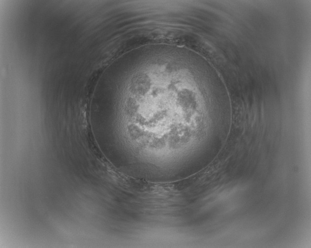 X0000071951013200607212221