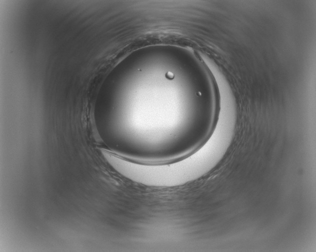 X0000071951014200607212221