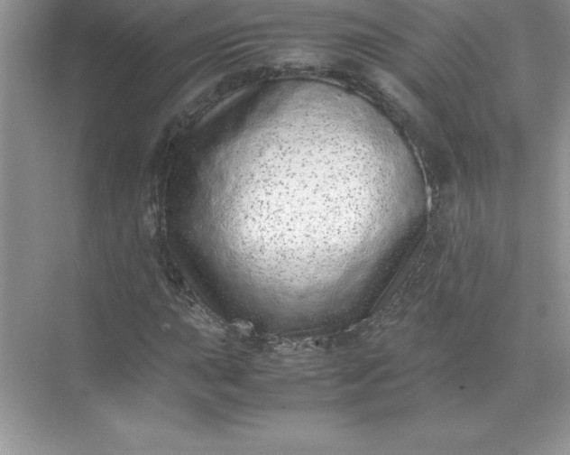 X0000071951015200607212221