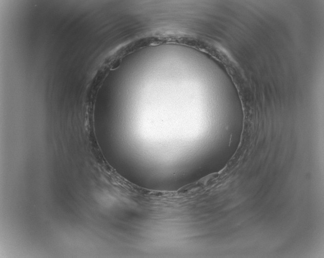 X0000071951016200607212221