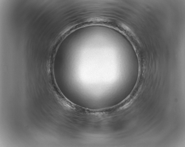 X0000071951017200607212221