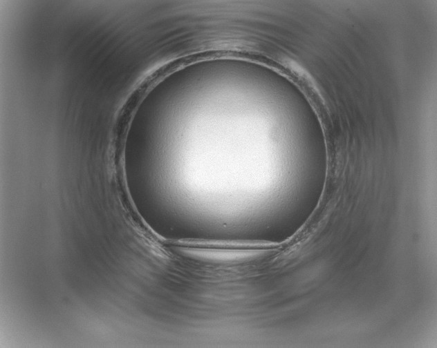 X0000071951019200607212221