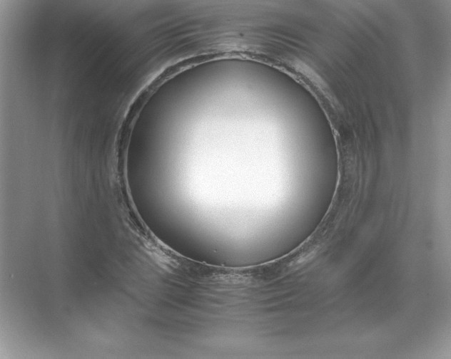 X0000071951023200607212221