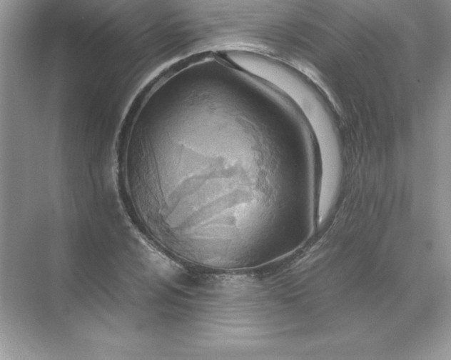 X0000071951024200607212221