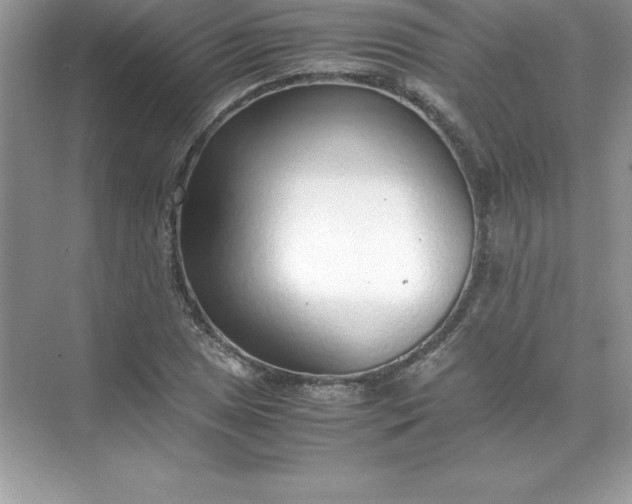 X0000071951025200607212221