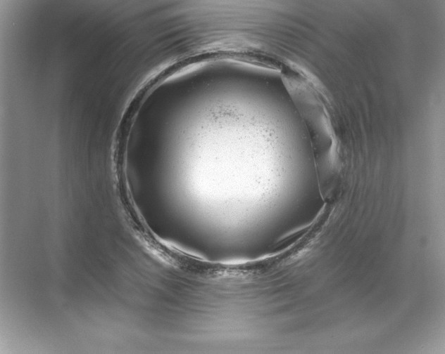 X0000071951026200607212221