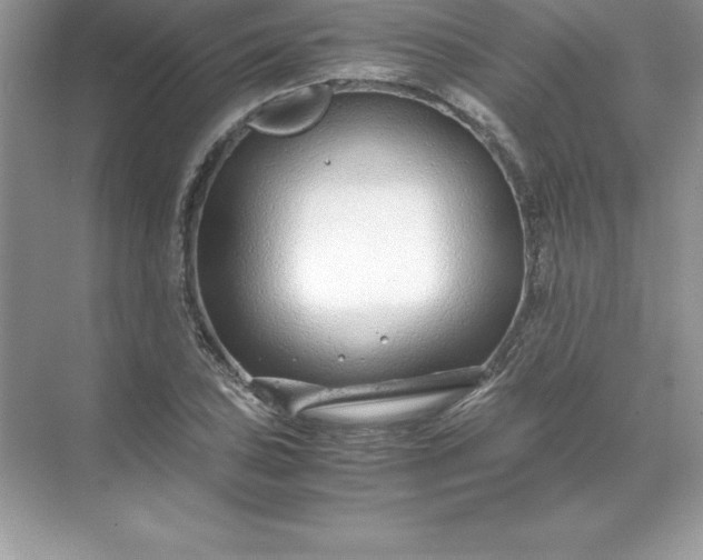 X0000071951027200607212221