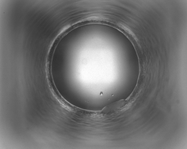 X0000071951029200607212221