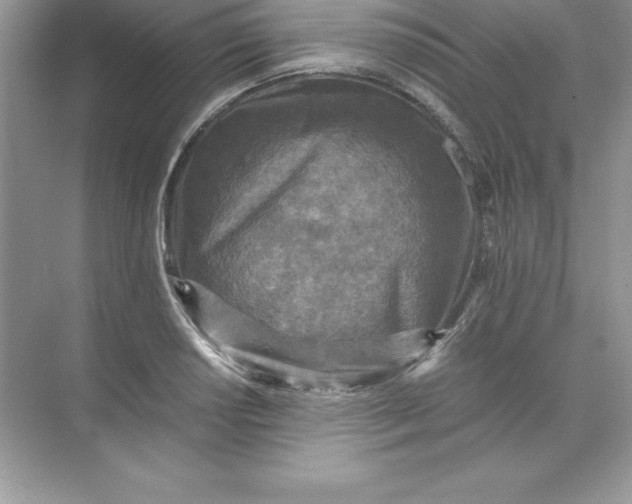 X0000071951034200607212221