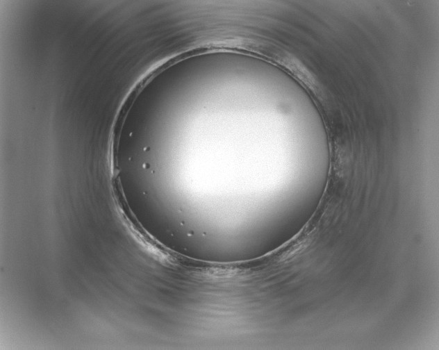 X0000071951036200607212221