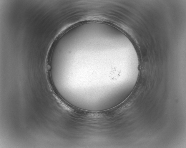 X0000071951037200607212221