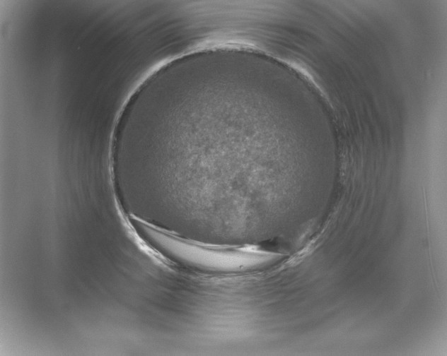 X0000071951038200607212221