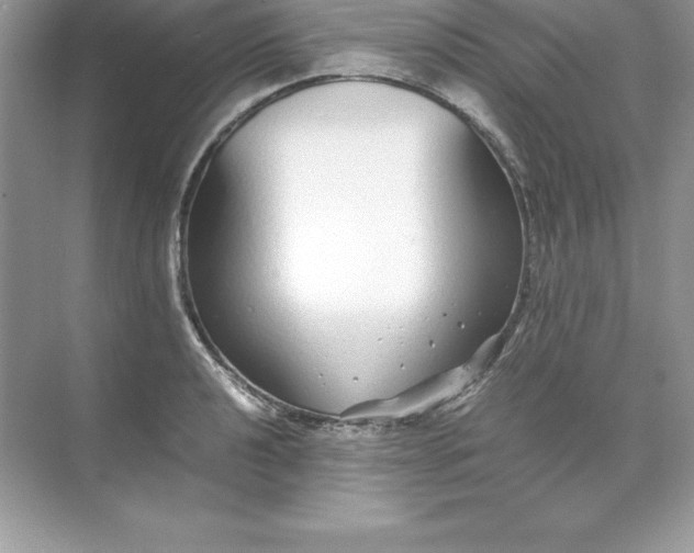 X0000071951040200607212221