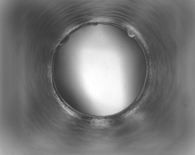 X0000071951041200607212221