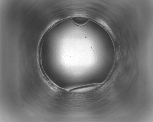 X0000071951043200607212221