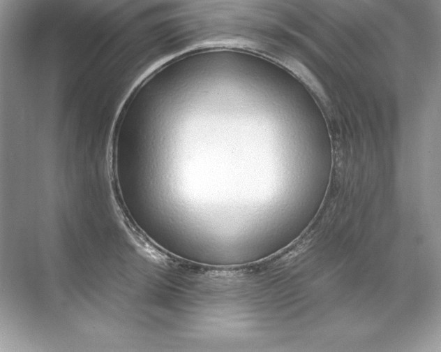 X0000071951044200607212221