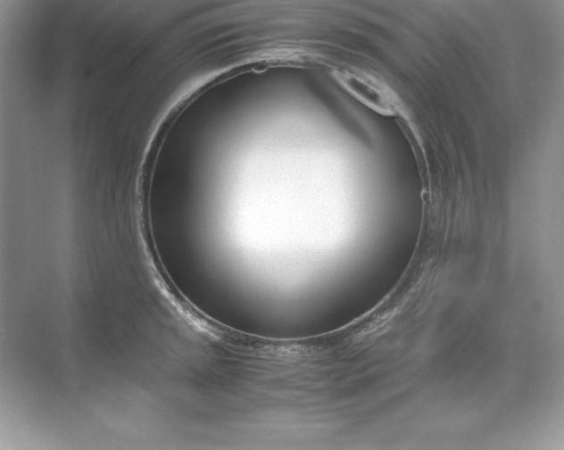 X0000071951045200607212221