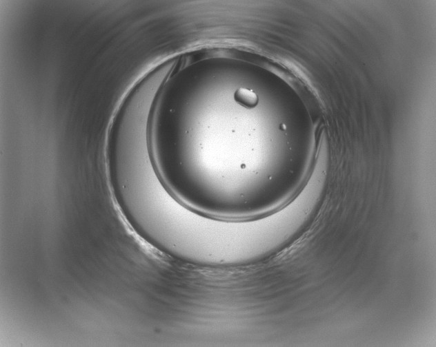 X0000071951046200607212221