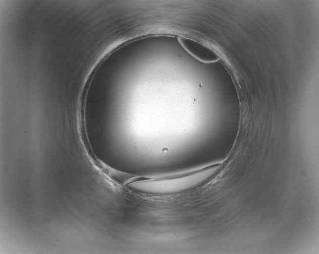 X0000071951048200607212221