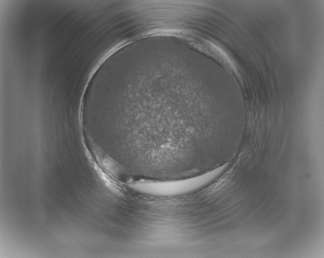 X0000071951050200607212221