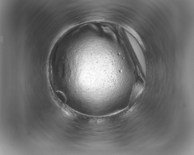 X0000071951051200607212221