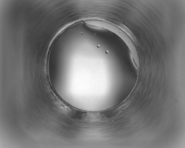 X0000071951052200607212221