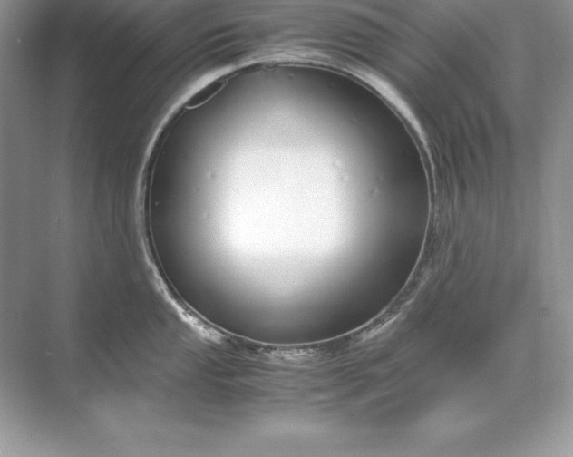 X0000071951053200607212221